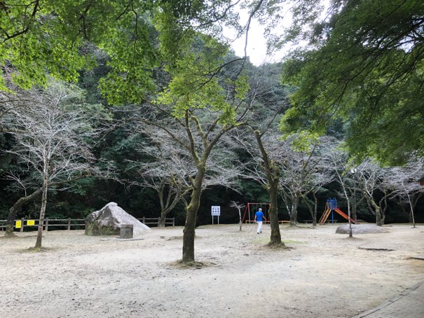 慈眼寺公園　桜、遊具