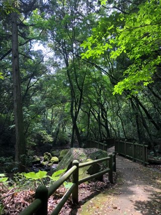 慈眼寺公園　森林浴