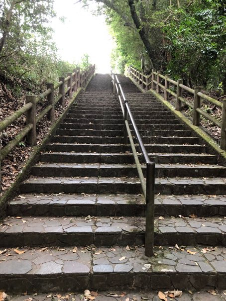 慈眼寺公園　階段